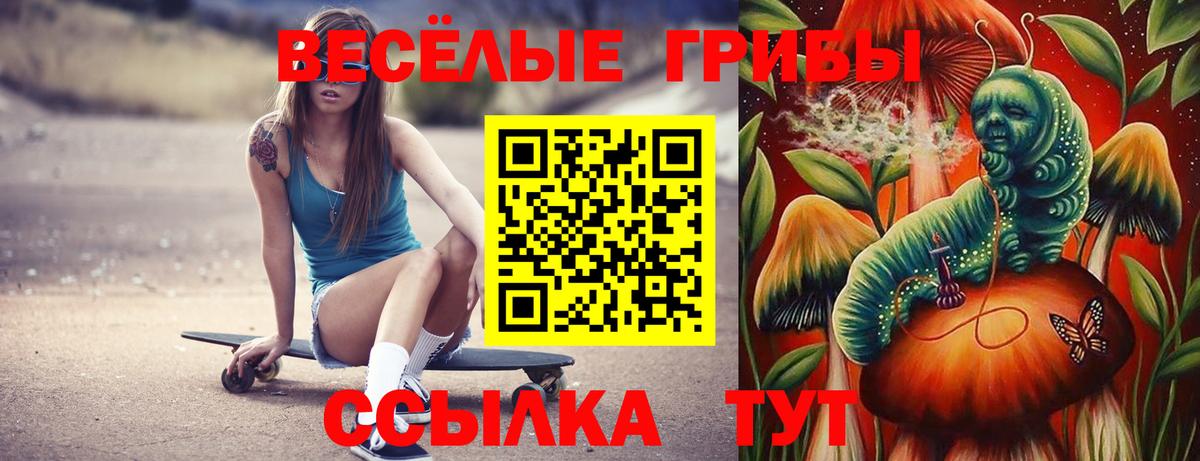 Салават  Галлюциногенные грибы мицелий  купить наркотики цена  Вход с VPN 